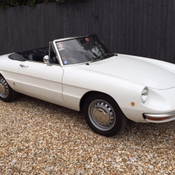 Alfa Romeo Roundtail' Spider Junior 