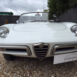 Alfa Romeo Roundtail' Spider Junior 